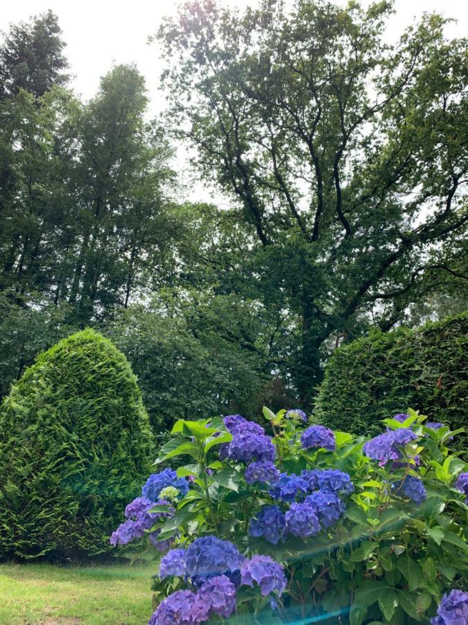 Zonnebos, private garden, fresh air, relax! Villa Otterlo Exteriör bild